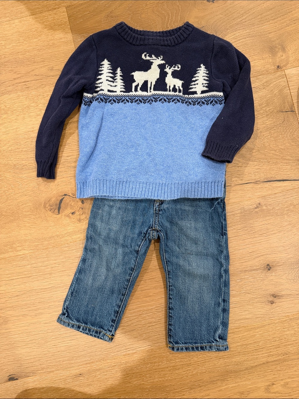 Janie and Jack Navy & Light Blue Moose Knit Sweater